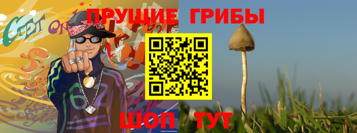 Чебаркуль  Галлюциногенные грибы мухоморы  Вход с VPN 